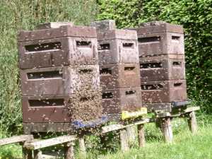 klicken f�r gro&szlig;es Bild