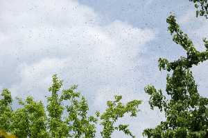 klicken f�r gro&szlig;es Bild