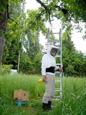 klicken f�r gro&szlig;es Bild